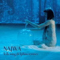 Following Dolphins Remixes