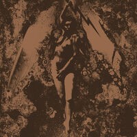 Converge / Napalm Death Split