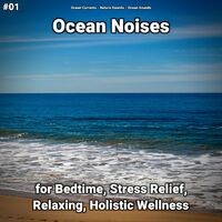 #01 Ocean Noises for Bedtime, Stress Relief, Relaxing, Holistic Wellness
