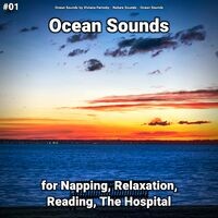 #01 Ocean Sounds for Napping, Relaxation, Reading, The Hospital