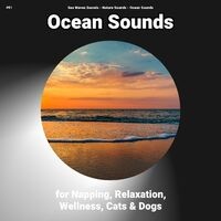 #01 Ocean Sounds for Napping, Relaxation, Wellness, Cats & Dogs