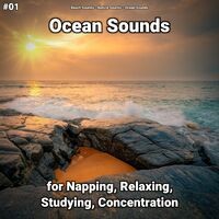 #01 Ocean Sounds for Napping, Relaxing, Studying, Concentration