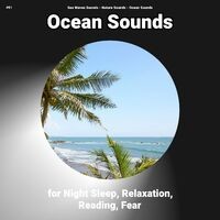 #01 Ocean Sounds for Night Sleep, Relaxation, Reading, Fear