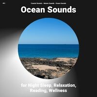 #01 Ocean Sounds for Night Sleep, Relaxation, Reading, Wellness