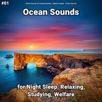 #01 Ocean Sounds for Night Sleep, Relaxing, Studying, Welfare