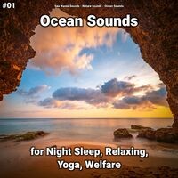#01 Ocean Sounds for Night Sleep, Relaxing, Yoga, Welfare