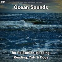 #01 Ocean Sounds for Relaxation, Napping, Reading, Cats & Dogs