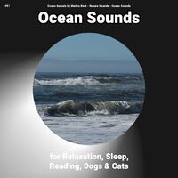 #01 Ocean Sounds for Relaxation, Sleep, Reading, Dogs & Cats