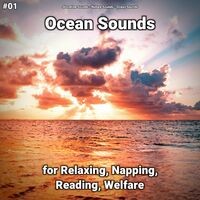 #01 Ocean Sounds for Relaxing, Napping, Reading, Welfare