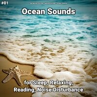 #01 Ocean Sounds for Sleep, Relaxing, Reading, Noise Disturbance