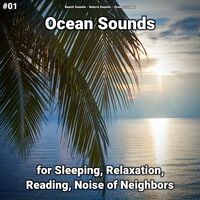 #01 Ocean Sounds for Sleeping, Relaxation, Reading, Noise of Neighbors