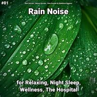 #01 Rain Noise for Relaxing, Night Sleep, Wellness, The Hospital