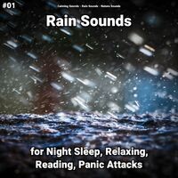 #01 Rain Sounds for Night Sleep, Relaxing, Reading, Panic Attacks