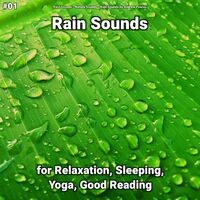 #01 Rain Sounds for Relaxation, Sleeping, Yoga, Good Reading