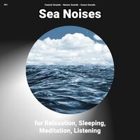 #01 Sea Noises for Relaxation, Sleeping, Meditation, Listening