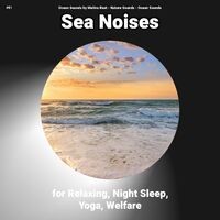 #01 Sea Noises for Relaxing, Night Sleep, Yoga, Welfare