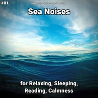#01 Sea Noises for Relaxing, Sleeping, Reading, Calmness