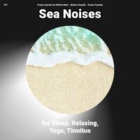 #01 Sea Noises for Sleep, Relaxing, Yoga, Tinnitus