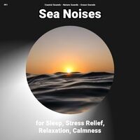 #01 Sea Noises for Sleep, Stress Relief, Relaxation, Calmness