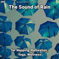 #01 The Sound of Rain for Napping, Relaxation, Yoga, Wellness