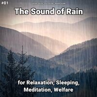 #01 The Sound of Rain for Relaxation, Sleeping, Meditation, Welfare