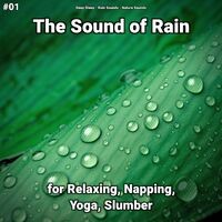 #01 The Sound of Rain for Relaxing, Napping, Yoga, Slumber
