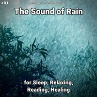 #01 The Sound of Rain for Sleep, Relaxing, Reading, Healing
