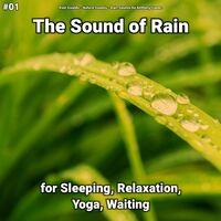 #01 The Sound of Rain for Sleeping, Relaxation, Yoga, Waiting