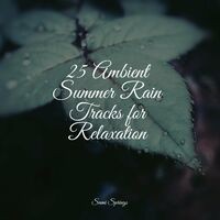 25 Ambient Rain Sounds for Meditation