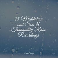 25 Meditation and Spa & Tranquility Rain Recordings