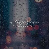 25 Powerful Rainstorm Collection for Sleep