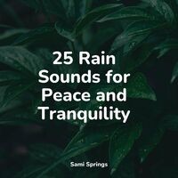 25 Rain Sounds for Peace and Tranquility