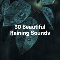 30 Beautiful Raining Sounds