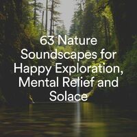 63 Nature Soundscapes for Happy Exploration, Mental Relief and Solace