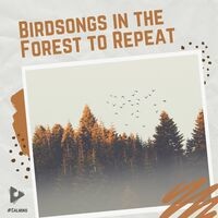 Birdsongs in the Forest to Repeat