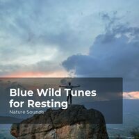 Blue Wild Tunes for Resting