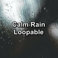 Calm Rain Loopable
