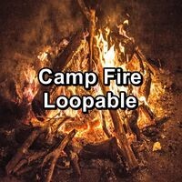 Camp Fire Loopable
