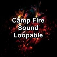 Camp Fire Sound Loopable
