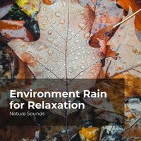 Environment Rain for Relaxation