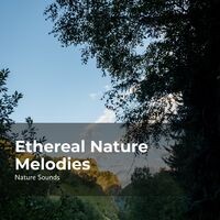 Ethereal Nature Melodies