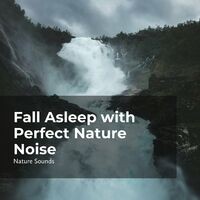 Fall Asleep with Perfect Nature Noise