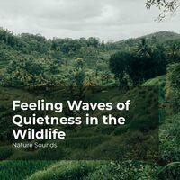 Feeling Waves of Quietness in the Wildlife