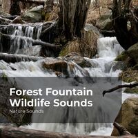 Forest Fountain Wildlife Sounds