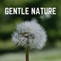 Gentle Nature