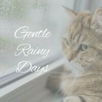 Gentle Rainy Days