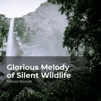 Glorious Melody of Silent Wildlife
