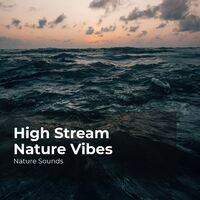 High Stream Nature Vibes