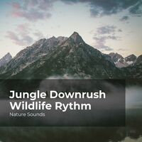 Jungle Downrush Wildlife Rythm