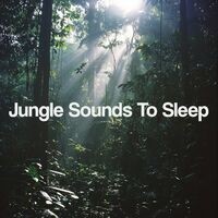 Jungle Sounds To Sleep